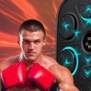 이지복싱 이미지