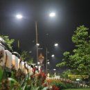 남천둔치2 이미지