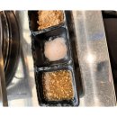 고기좋은집 이미지