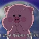 그린샐러드&샌드위치