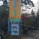 영원조경