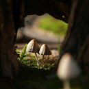 뜨락원 - 수성구 달구벌대로 2910-8 | 뜨락원