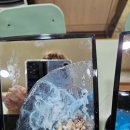 큰사랑지역아동센터 이미지