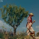 스테이에코 이미지