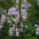 최초 거북선길 이미지