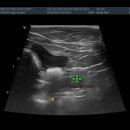 미사동물병원 이미지