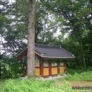 봉복사 - 1354 | 봉복사