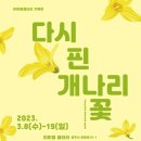 공주볼거리 이미정갤러리 다시 핀 개나리꽃 실내 전시회
