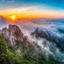 금수강산 이미지