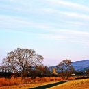 체육공원로399번길 이미지