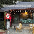 요광 | 광주 실내애견동반카페 담양같은 한옥카페 소죽림 내돈내산