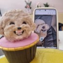 개빵뜯어먹는소리 이미지