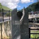 허궁다리 이미지