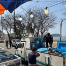 어심횟집 이미지