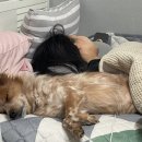 캘리포니아보이 이미지