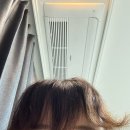 사랑할 시간도 없는데 어떻게 미워해