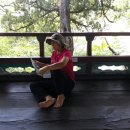 내 집의 분경 이미지