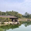 조원공원 | 일본 소도시 다카마쓰 여행, 쇼도시마섬, 리쓰린 공원, 우동투어 후기