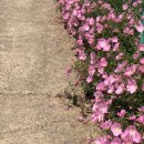 고인돌경로당 이미지