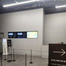 더 그라운드 | 룸포원더 전시 후기 그라운드시소 이스트 실네 데이트 추천