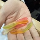 공단4로 | 국민건강보험공단 인재개발원 4주차 후기