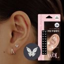 더블유 카카오 검색결과