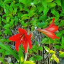 재미있는 이야기 속 내 마음 그리기 이미지