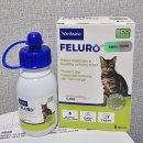 고동물병원 | 냥줍한 길고양이 첫 동물병원 후기 (중성화/스케일링)비용 / 준비물 / 주의사항 총정리