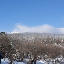 블루밍 스파앤풀빌라 이미지