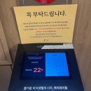 전주 카츠모리조 솔직한 후기
