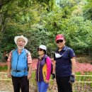 서현중앙길 이미지