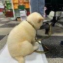 보명사약국 이미지