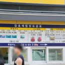 그늘막76 | 삼척 장호항 스노클링 후기 위치 주차 평상 대여