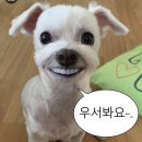 일번지노래방 이미지