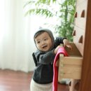 비모토