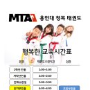 용인대 청목 mta 태권도 이미지