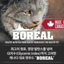 프리미엄캣 이미지