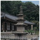 동화사 삼층석탑 이미지