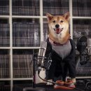 JUST DOG 이미지