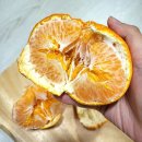 털보농산 이미지