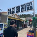 신창윤업사(THE BED) | (2) 태교여행 - 제주도 4박5일 (2일차)