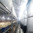 솔티농원 이미지