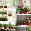 꽃향기정원 이미지