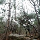 가람농산 앞(면사무소 건너) | 삼각산 금선사(金仙寺) - 순조왕 탄생비화가 있는 목정굴(木精窟)과 계곡이 아름다운 금선사(金仙寺)