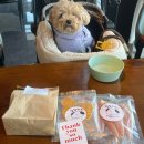 왈왈키친 | 운양 애견 수제간식 추천 왈왈 키친 | 강아지 간식 솔직후기