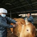 동명가축병원 뉴시스