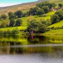 푸른초원 이미지