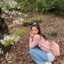 헤이제니 이미지