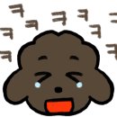 아이홈케어 이미지