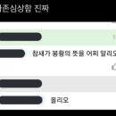 참새히어로 이미지